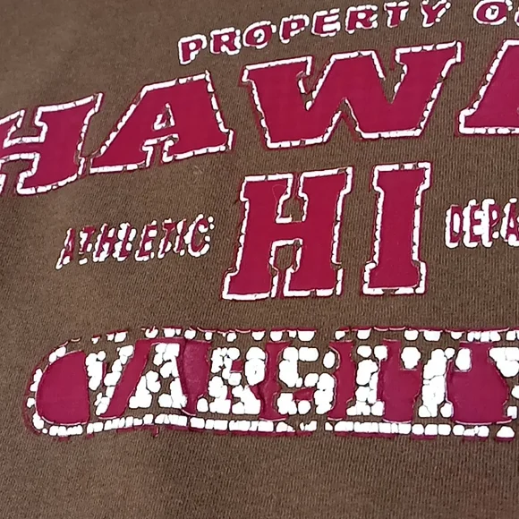 Hawaii Variety Distressed Brown Tshirt Size L - Picture 3 of 12